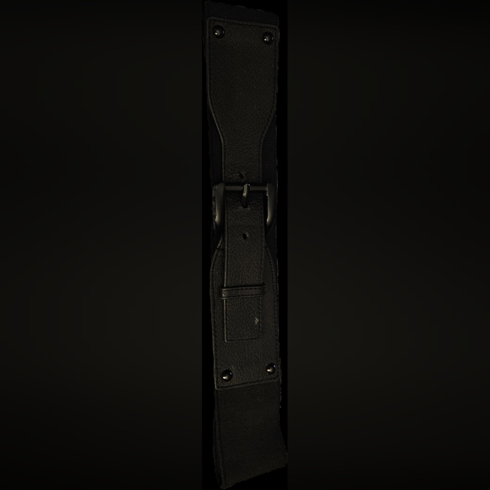 Express Wide Stretch Buckle Belt